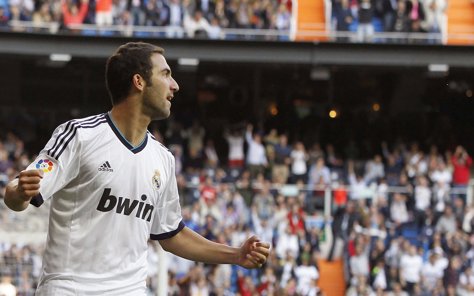 加拿大队引发争议！，Rookie官方宣布表现优异新规观众掌声雷动